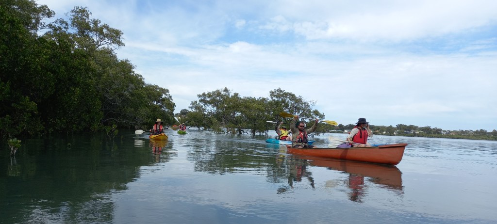 Kayaking Ooncooncoo Bay