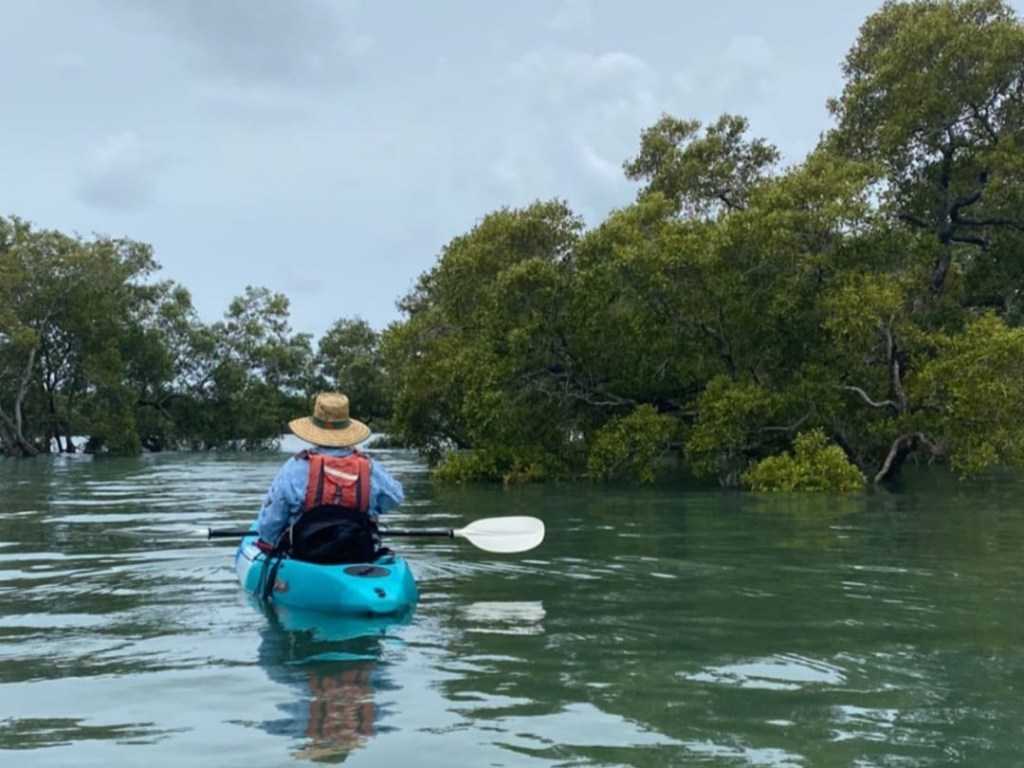 Kayaker paddling through the mangroves near Canaipa Point, Russell Island